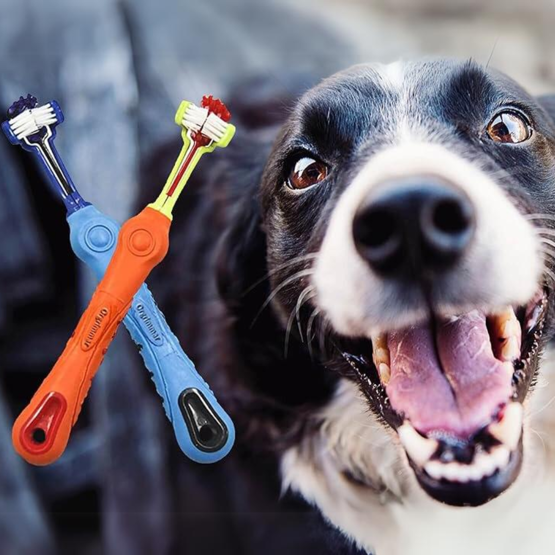 Tri-sided dog toothbrush for effective tartar control & fresh breath. Essential pet dental hygiene accessory.