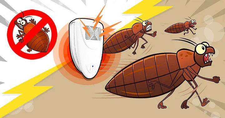 Advanced ultrasonic technology for bed bug control. Offers a safe, quick, and silent pest management solution.