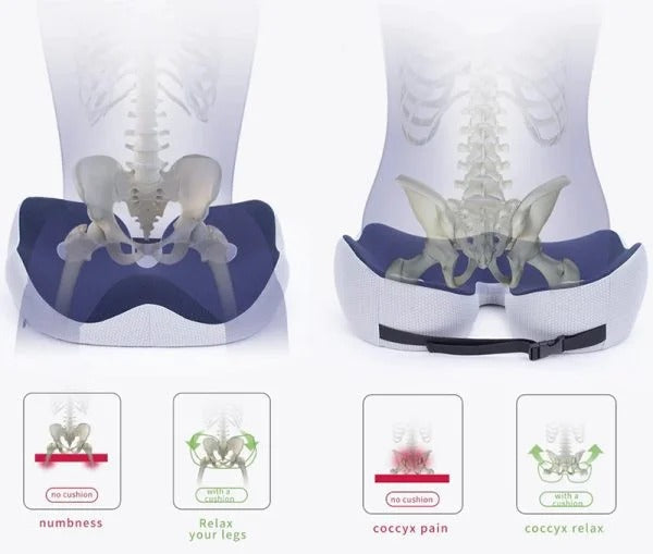 Adjustable memory foam seat cushion for sit bone, tailbone & back pain relief. Ergonomic pressure support for comfort.