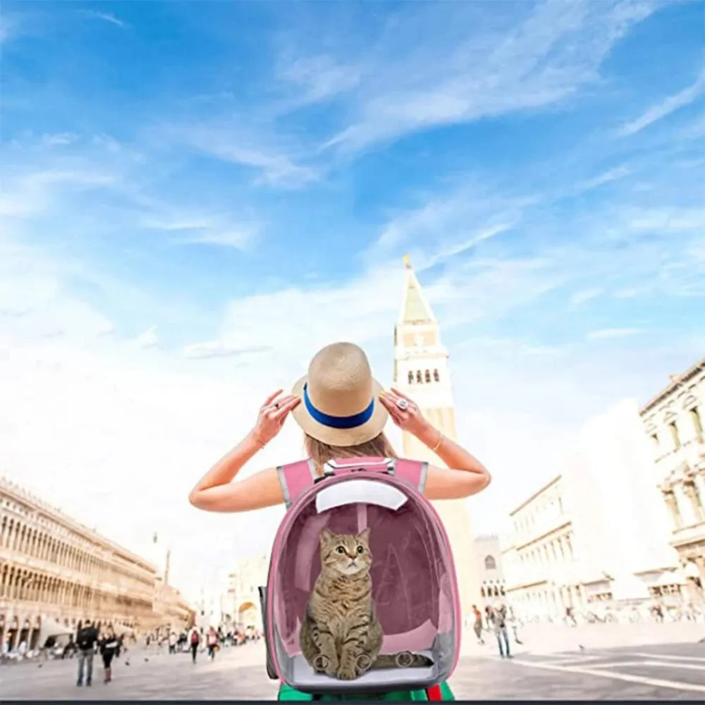 Green dog carrier backpack for small pets. Panoramic transparent bubble window & ventilation for stress-free journeys.