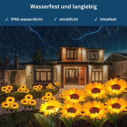 A cluster of bright solar LED flower lights capturing sunlight during the day and glowing at night.