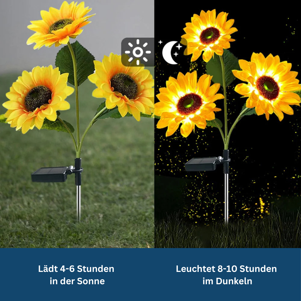 Decorative solar flower lights enhancing a garden pathway, providing both beauty and illumination.