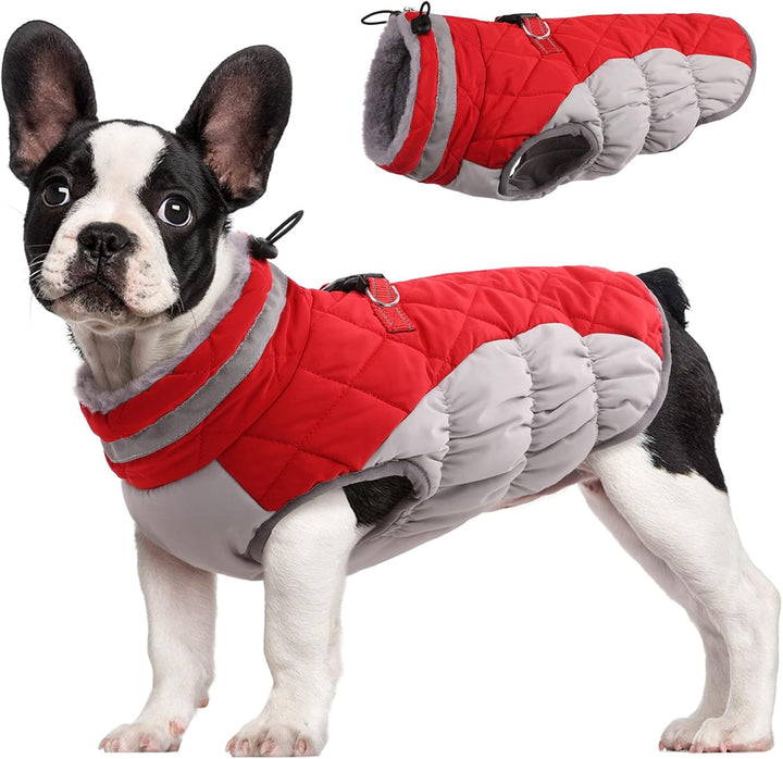 Warm dog winter jacket with integrated harness, ideal for cold weather walks.
