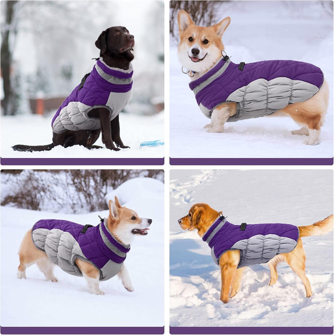 Heavy-duty dog jacket with integrated harness, reflective, great winter outdoor gear for pets.