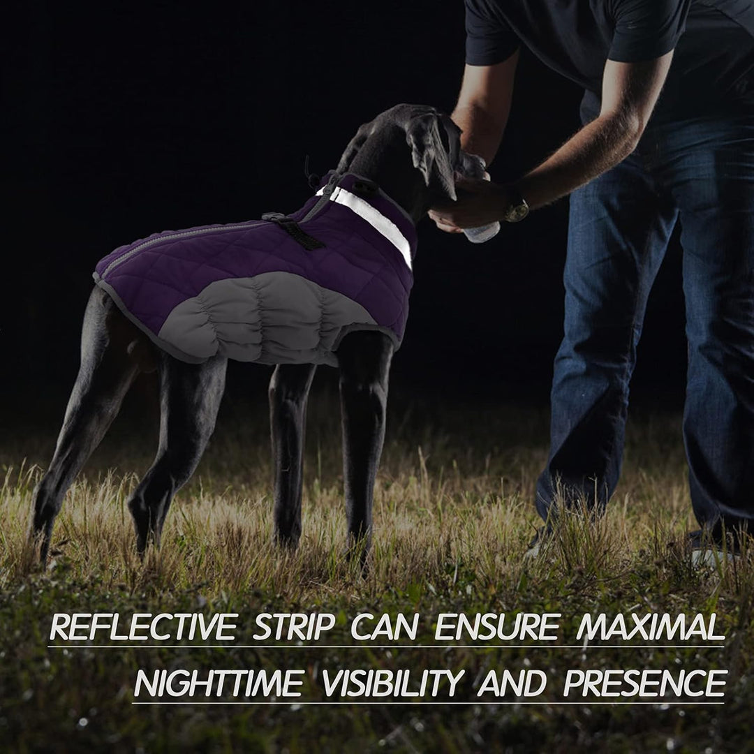 Warm dog coat & harness combo, waterproof & windproof for cold weather protection.
