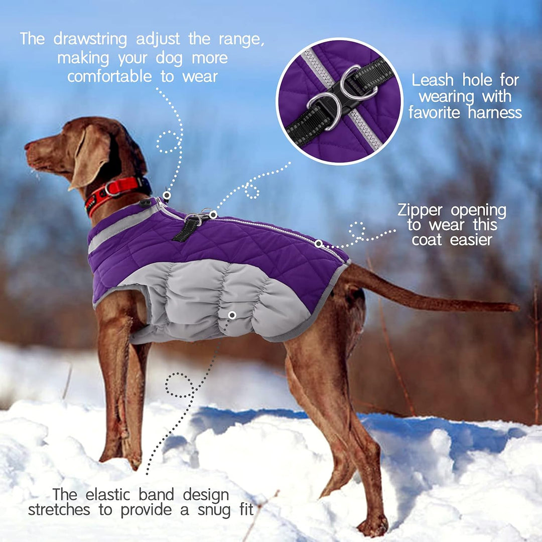 Reflective dog winter coat with built-in harness for safe, warm, and cozy walks.