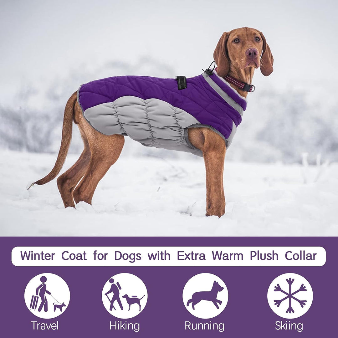 Ultimate warm dog jacket with built-in harness, waterproof for snowy and icy conditions.