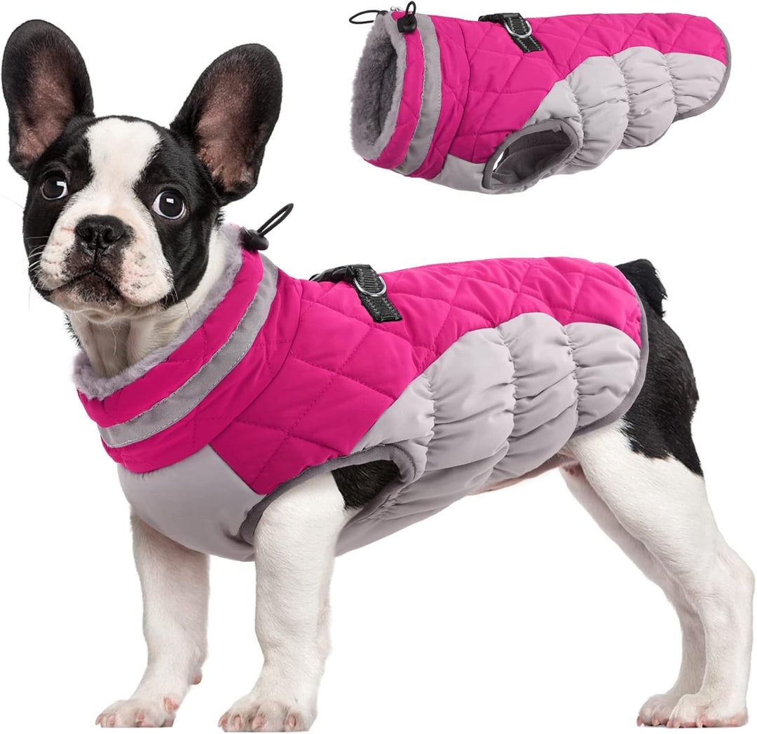 Cozy dog jacket with built-in harness, windproof design for winter adventures & comfort.
