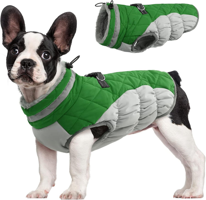 Outdoor gear: waterproof dog winter jacket with built-in harness, ideal for cold adventures.