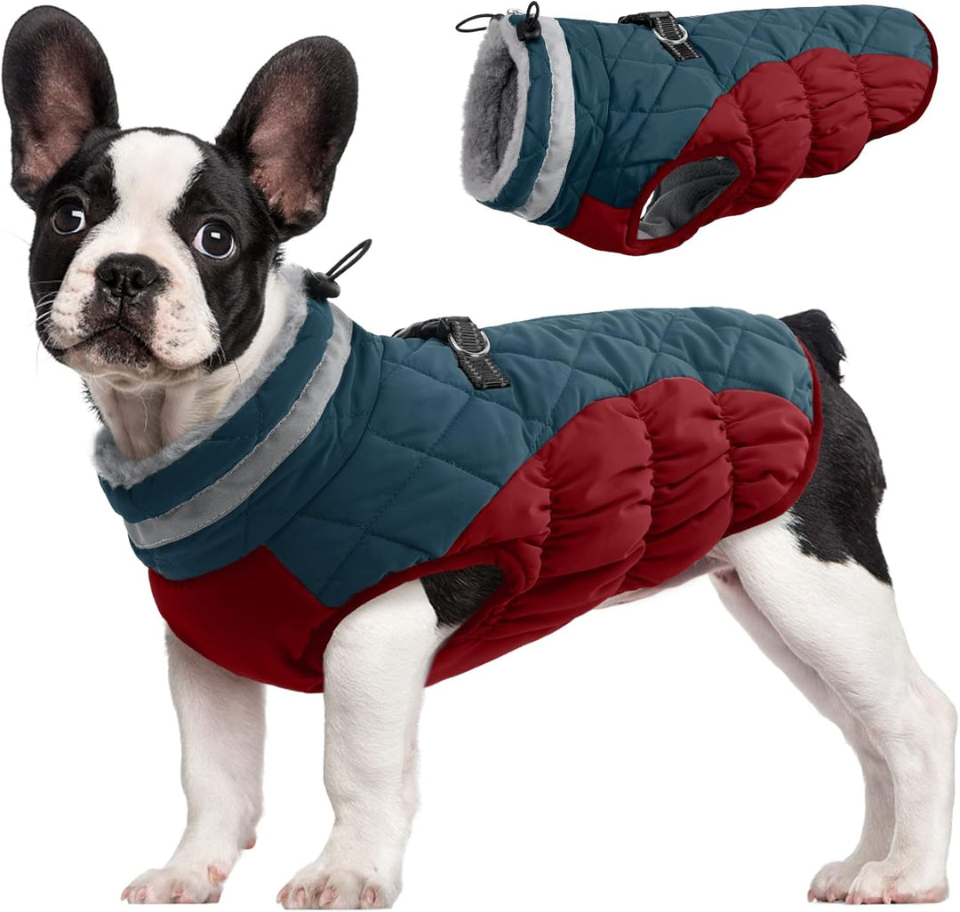 Secure dog harness winter coat, reflective for visibility & warmth in snow. Max pet safety.