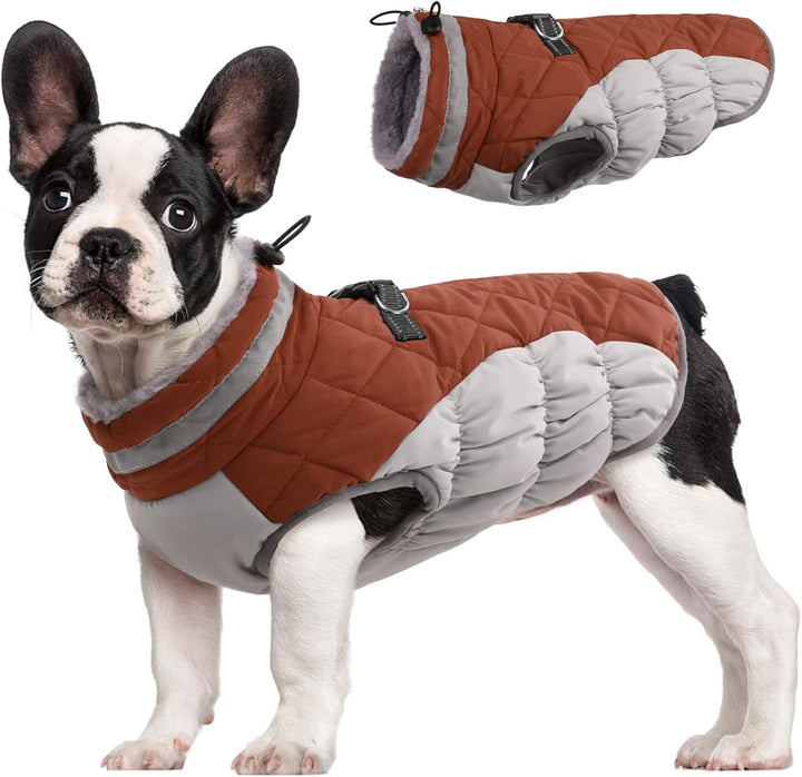 Pet safety dog winter coat with integrated harness, reflective strips for visibility & warmth.