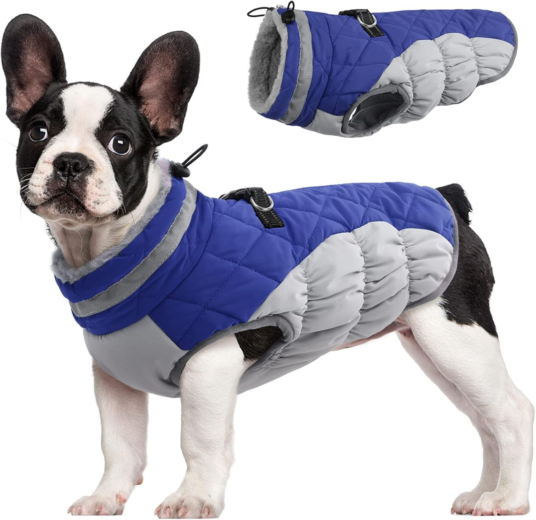 Windproof dog apparel: warm winter jacket with built-in harness for cold weather protection.