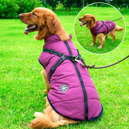 Warm, waterproof winter dog jacket with integrated harness, perfect for cold weather walks & outdoor adventures.
