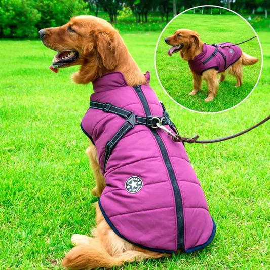 Warm, waterproof winter dog jacket with integrated harness, perfect for cold weather walks & outdoor adventures.