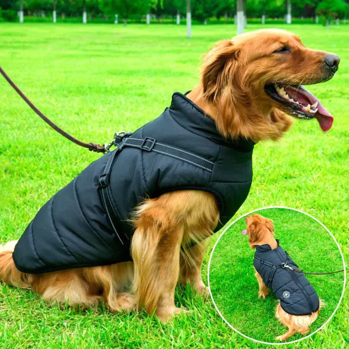 Heavy-duty waterproof dog jacket & warm winter coat with integrated harness for cold, rainy outdoor adventures.