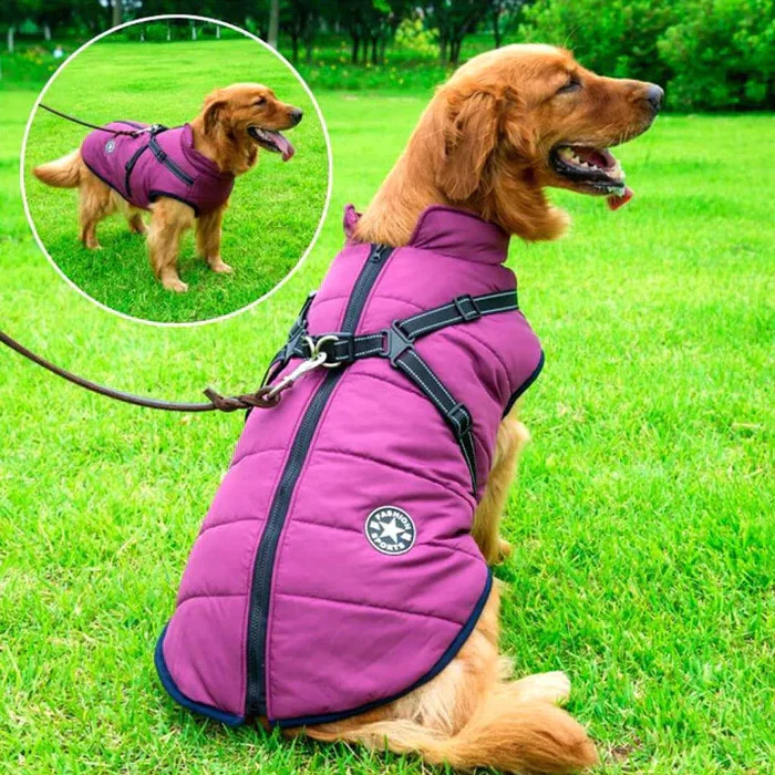 Waterproof winter dog jacket with integrated harness, keeping dogs warm & secure in cold weather.