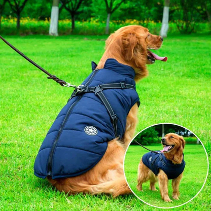 Durable waterproof winter dog coat with integrated harness for small to large active dogs in cold, snowy weather.
