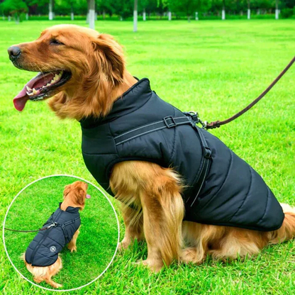 Comfortable, warm, waterproof dog jacket with built-in harness, offering protection for outdoor walks & active play.