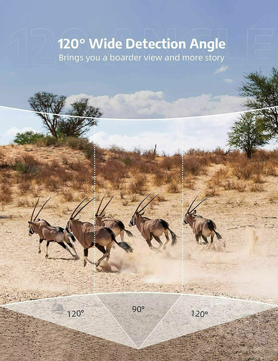 Rugged wireless HD trail camera for nature. High-res photos, videos, night vision & waterproof for outdoor use.