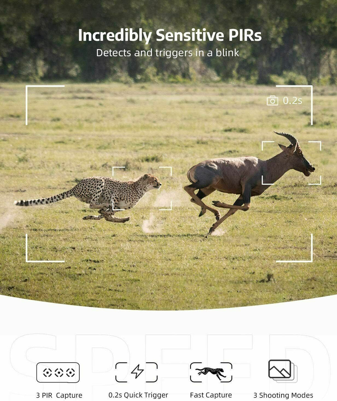Wireless HD trail camera with night vision for remote wildlife monitoring & outdoor surveillance. Waterproof, game ready.