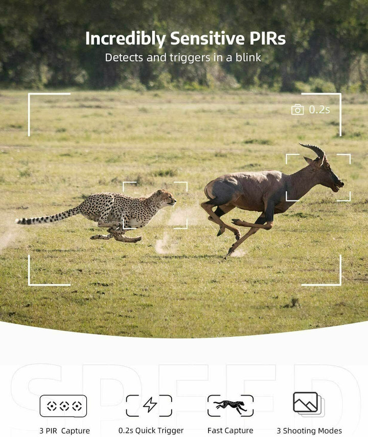 Wireless HD trail camera with night vision for remote wildlife monitoring & outdoor surveillance. Waterproof, game ready.