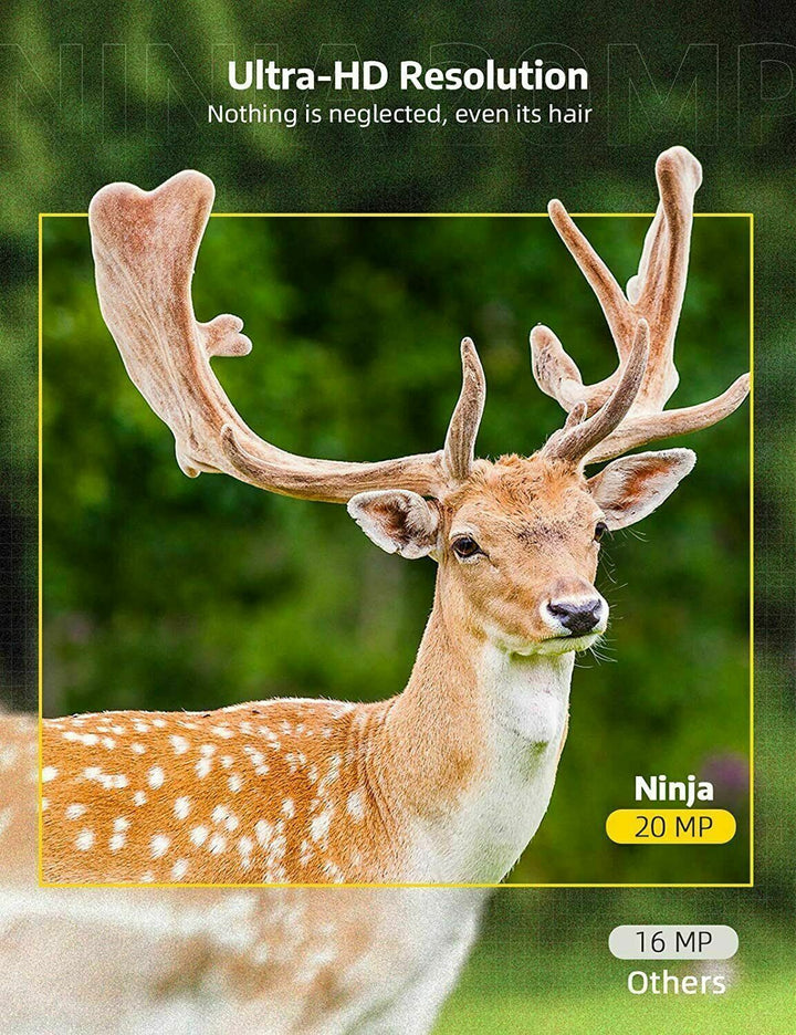 Waterproof wireless HD trail camera for wildlife. Night vision, motion detection for hunting & outdoor surveillance.