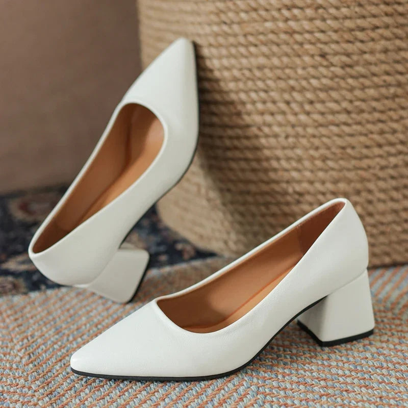 Women's elegant pointed toe block heels. Perfect pumps for office & evening wear, comfortable & stylish.
