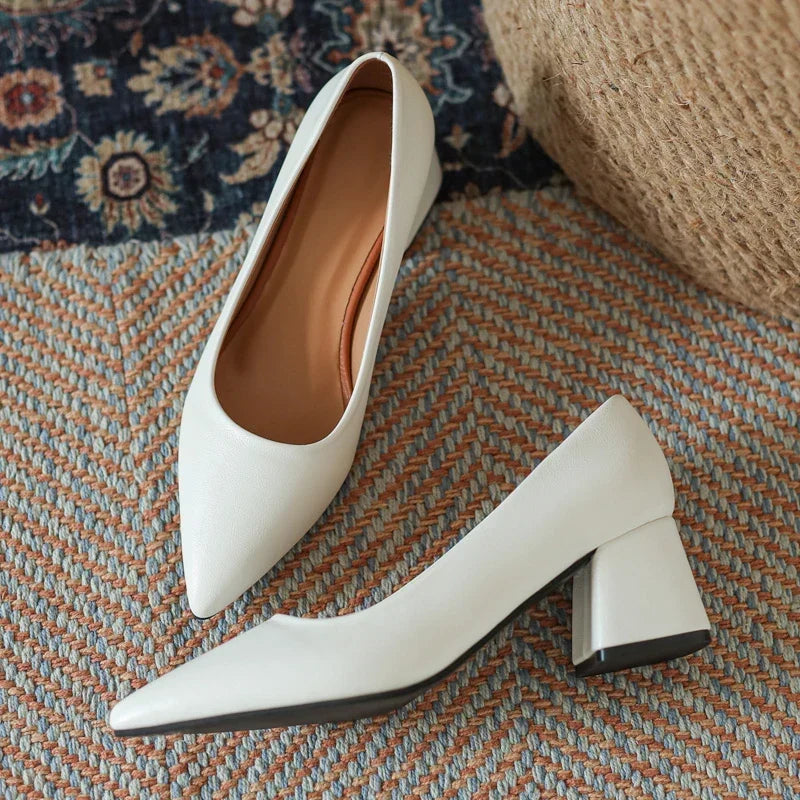 Professional women's pointed toe block heels. Ideal office shoes & formal footwear for a polished look.