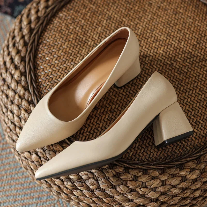 Classic women's pointed toe block heels. Elegant & versatile pumps for professional office attire & evening.