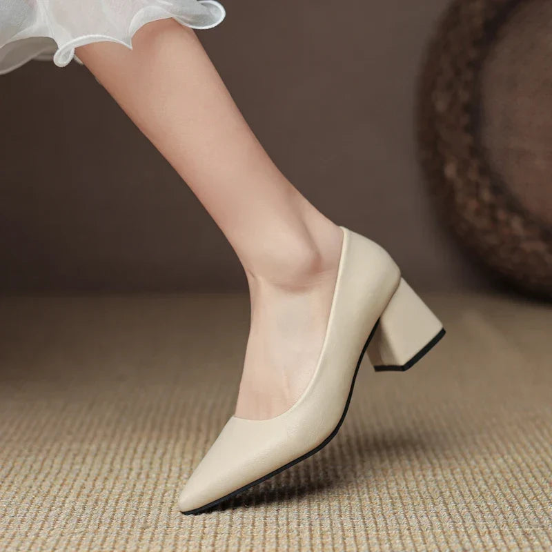 Formal women's pointed toe block heel pumps. Elegant, comfortable, and classic for office & evening events.