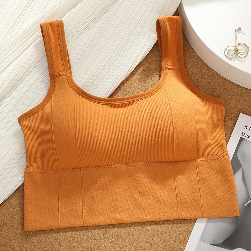High-quality Motion Core seamless ribbed sports bra, women's activewear built for comfort, support, and lasting fitness.