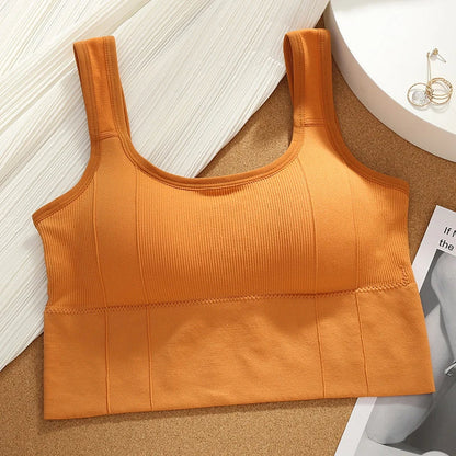 High-quality Motion Core seamless ribbed sports bra, women's activewear built for comfort, support, and lasting fitness.