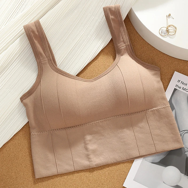 Motion Core women's seamless ribbed sports bra, essential activewear for comfort, support, and fitness.