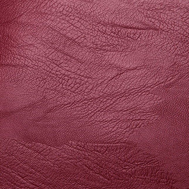 Elegant premium leather women's backpack, water resistant, perfect for professionals.
