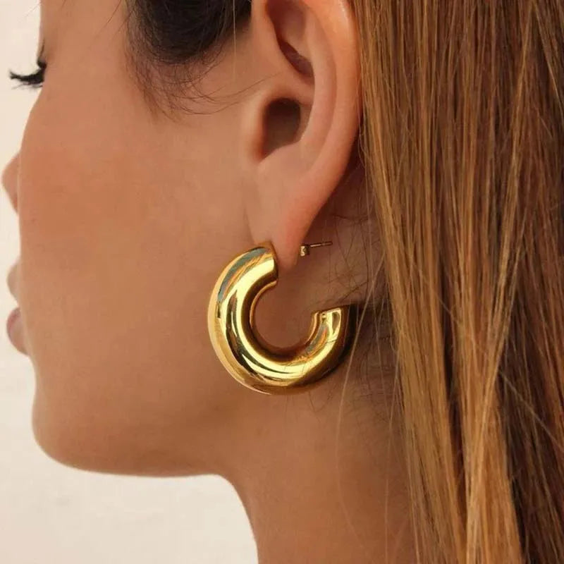 Versatile women's sculptural hoop earrings; elegant gold & silver finish adds shine to any outfit.