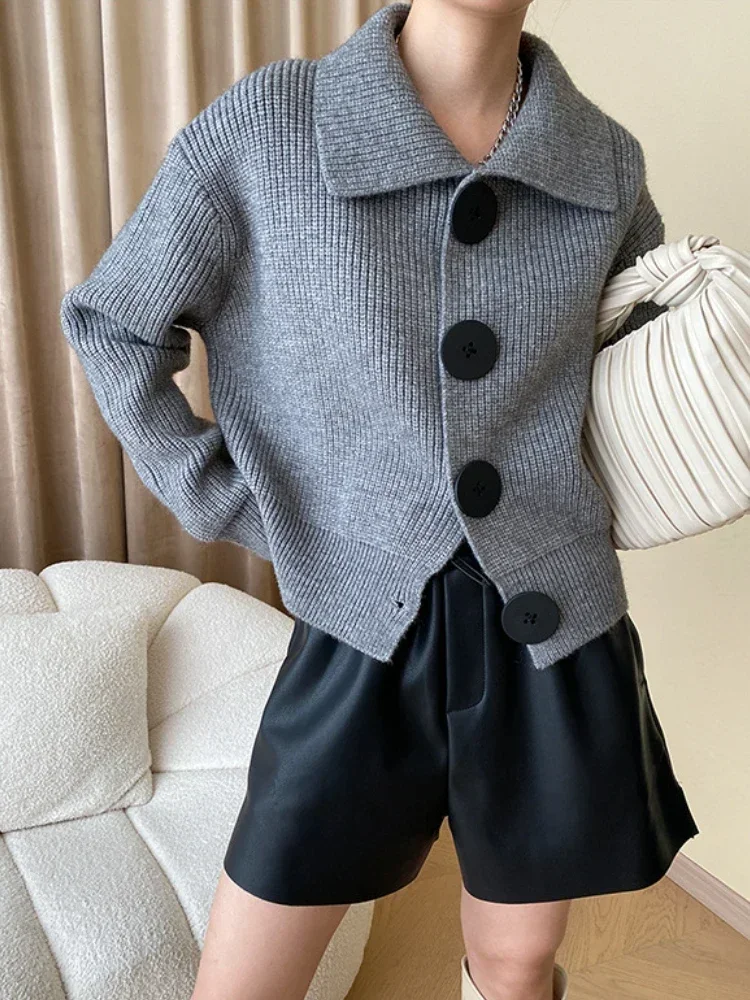 Oversized women's statement cardigan, wide collar, chic and cozy, with front buttons.