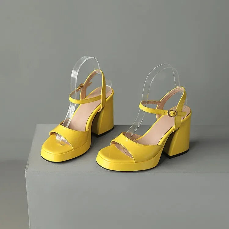 Comfortable Valetta Block Heels featuring a glossy finish & supportive ankle strap, ideal women's footwear.