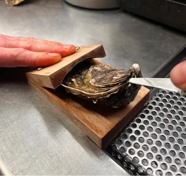 Ergonomic wooden oyster shucking clamp, ensuring secure & easy oyster opening for safety.