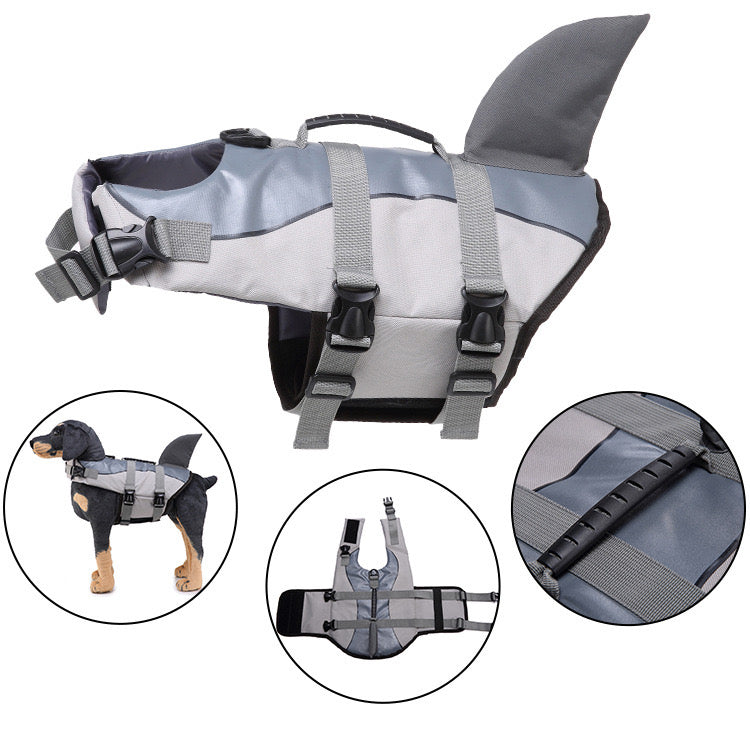 Large dog in a blue shark life vest, running towards water, outdoor pet flotation