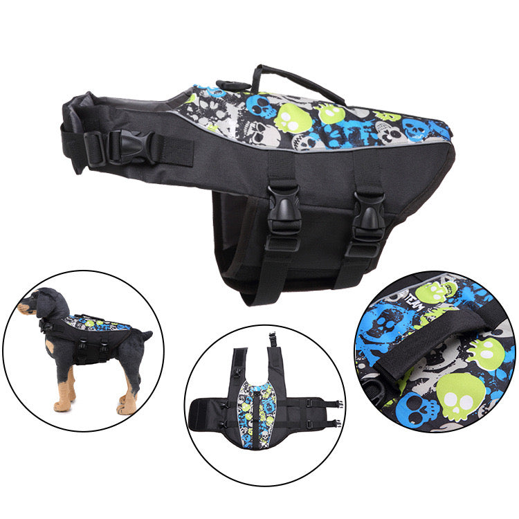 Dog wearing a bee life vest, ready for boat trip, pet safety and visibility
