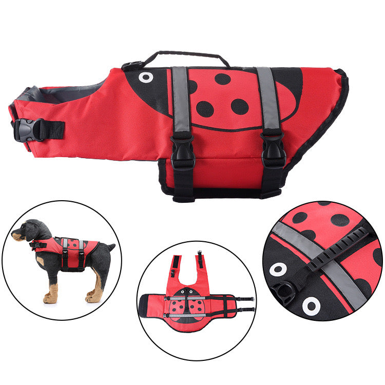 Dog in a penguin life vest, on a paddleboard, outdoor pet adventure gear