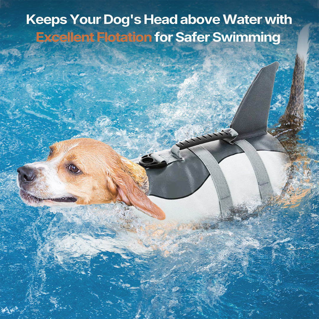 Bee dog life vest, adorable pet gear for water, dog swimming buoyancy aid