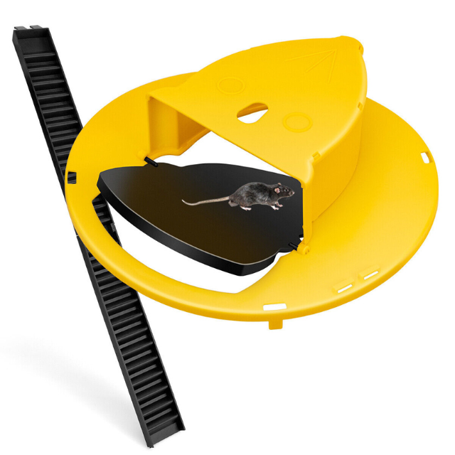 Compact yellow humane mouse trap, features auto reset mechanism for continuous rodent control.